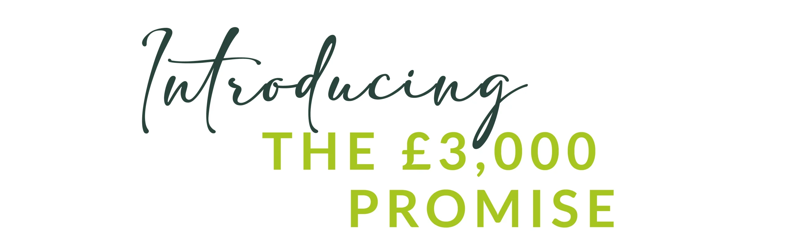 The Promise offer-04