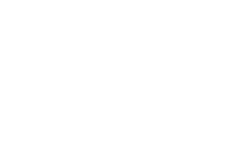 holderness logo