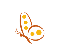 Orange butterfly logo icon