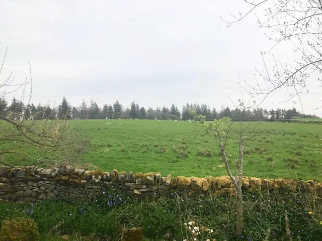 Willerby New Hampshire 9 Willerby New Hampshire