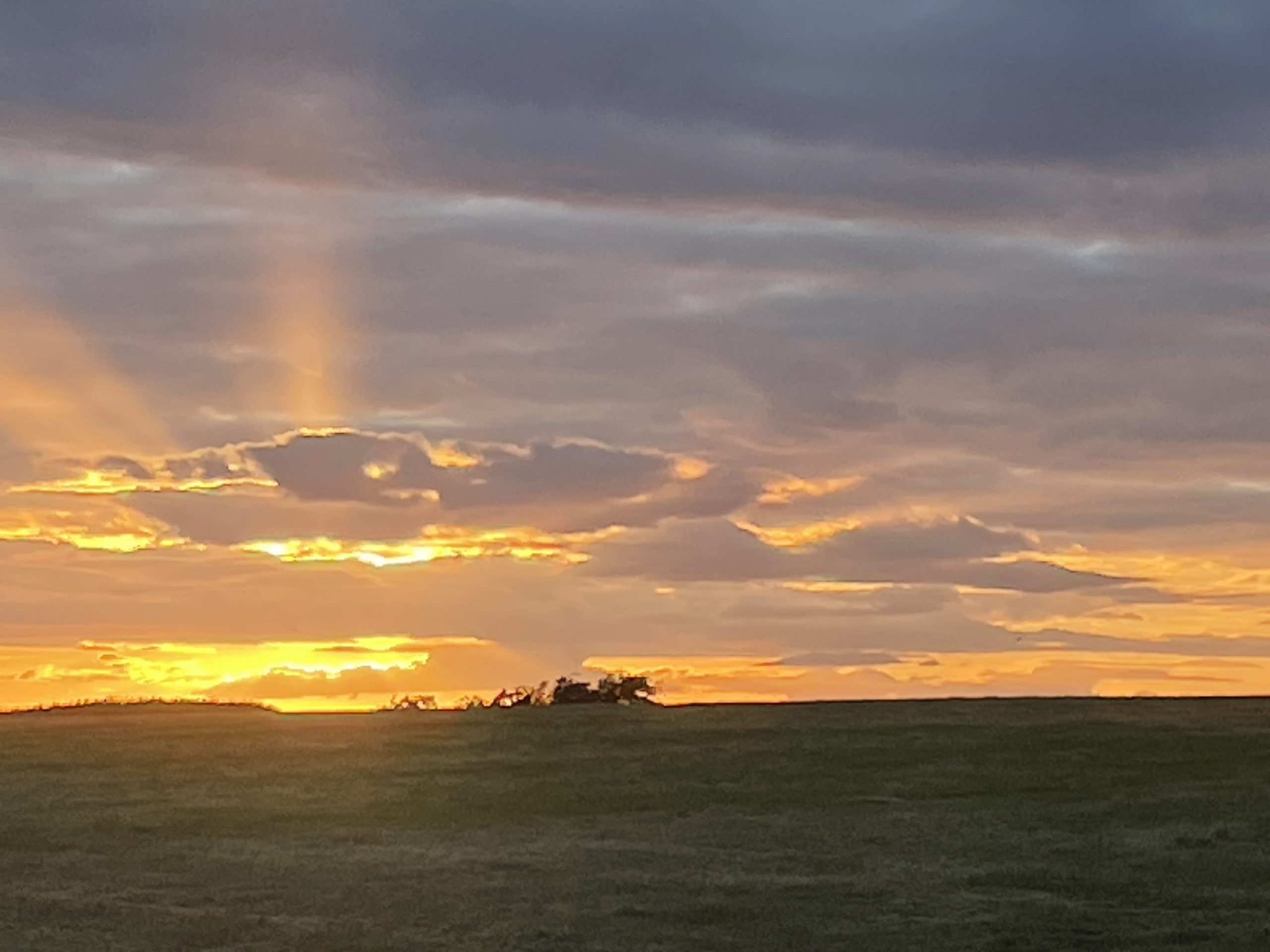 Golden sunset with soft light over the field at Heathergate