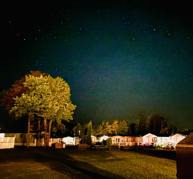 A peaceful night scene of a holiday park, with a starry sky above the lit-up caravans and large trees in the background.