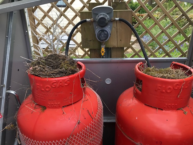 Two large red gas tanks with bird nests on top, enclosed within a metal structure.