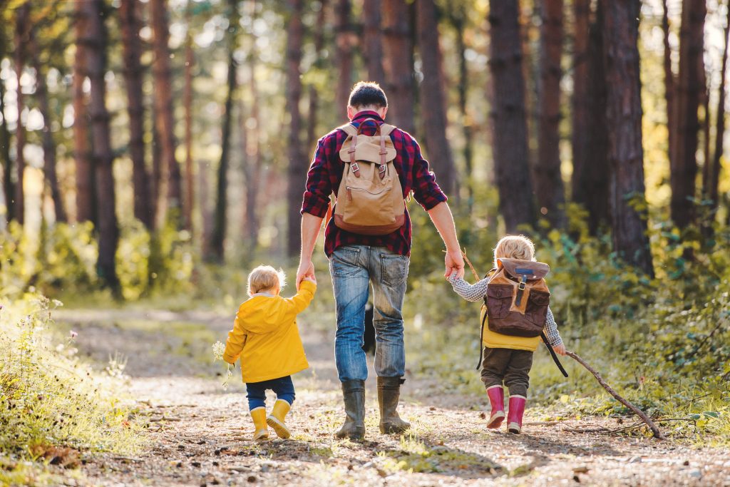 A rear view of father with toddler children walking in an autumn forest Inspire Lodge twin bed