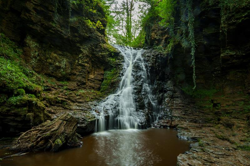 Hareshaw Linn Hareshaw Linn